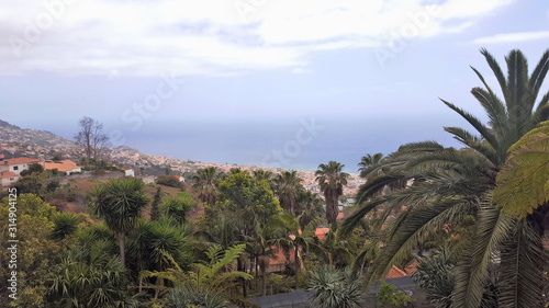 Fototapeta Naklejka Na Ścianę i Meble -  Madère, la baie de Funchal vue du Jardim tropical