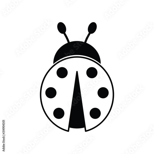 ladybug  icon black vector sign