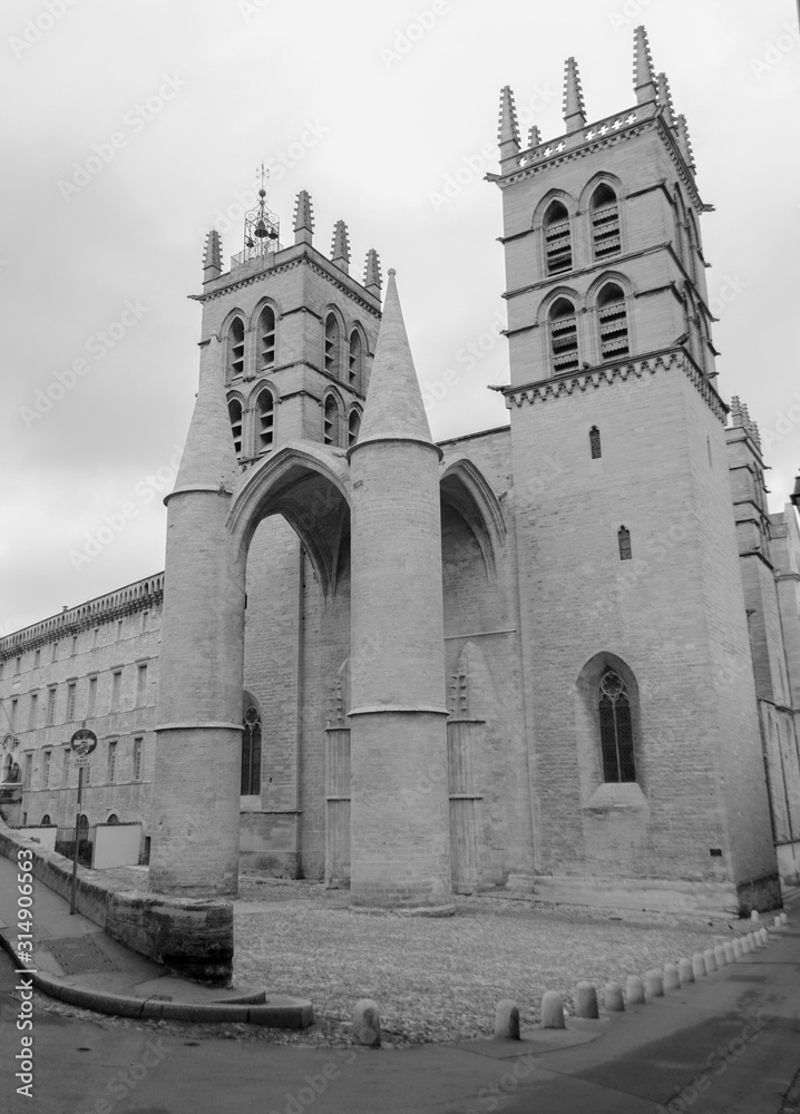 Montpellier, France, 03 March,2018: St Peter Cathedral Montpellier black and white edition