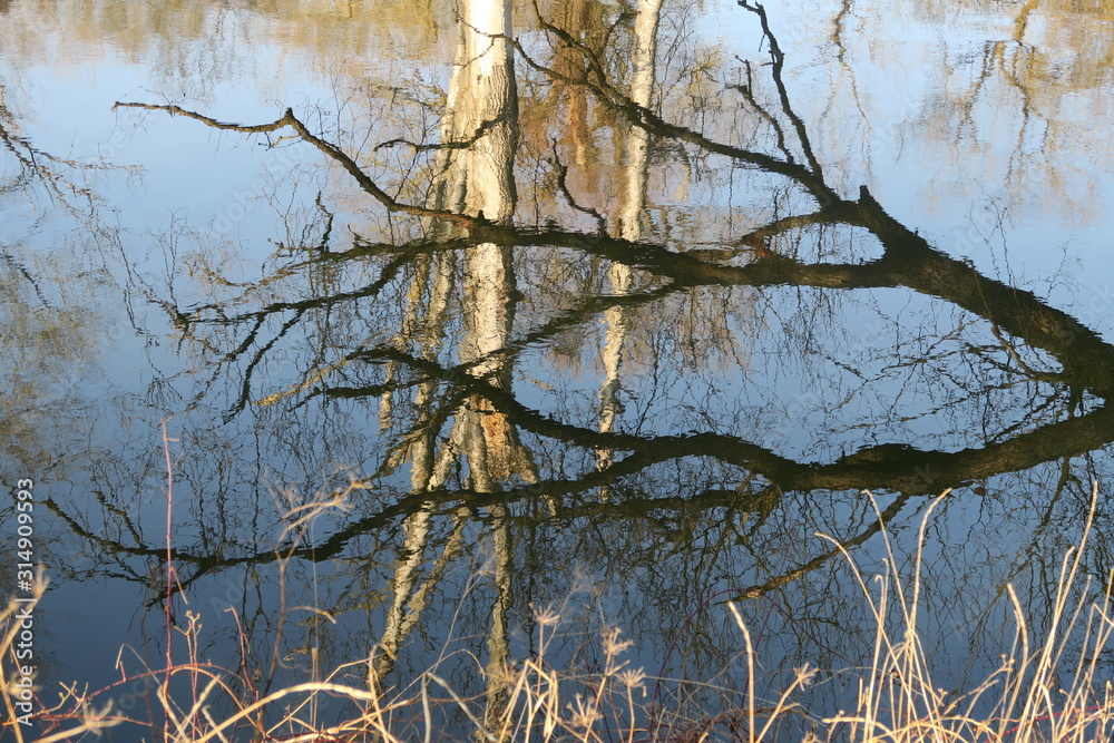 Spiegelung der Winterbäume in der blauen Amper Spiegelung der Winterbäume in der blauen Amper