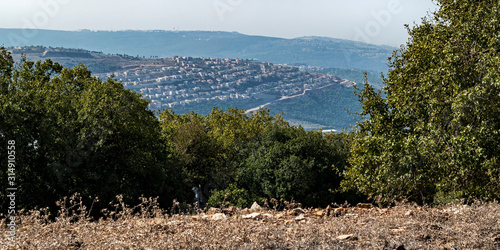 panorama of kibbutz sasa and surrounding forest and fields as seen through the lush green trees on adir mountain in the upper galilee in Israel