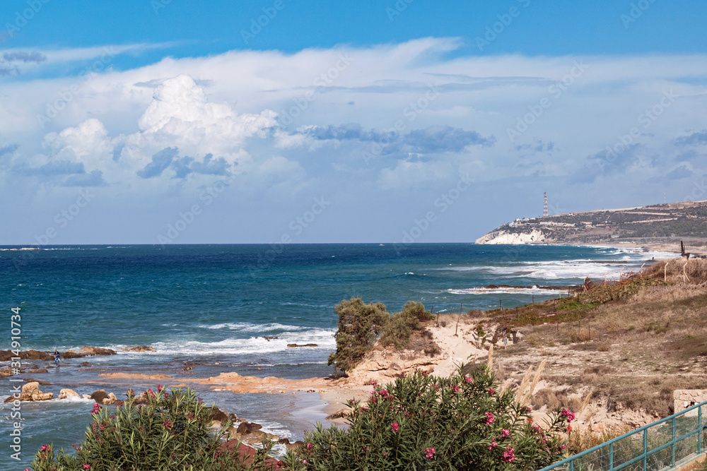 the white chalk cliffs of rosh hanikra viewed from akhziv national park in israel with flowering oleander in the foreground