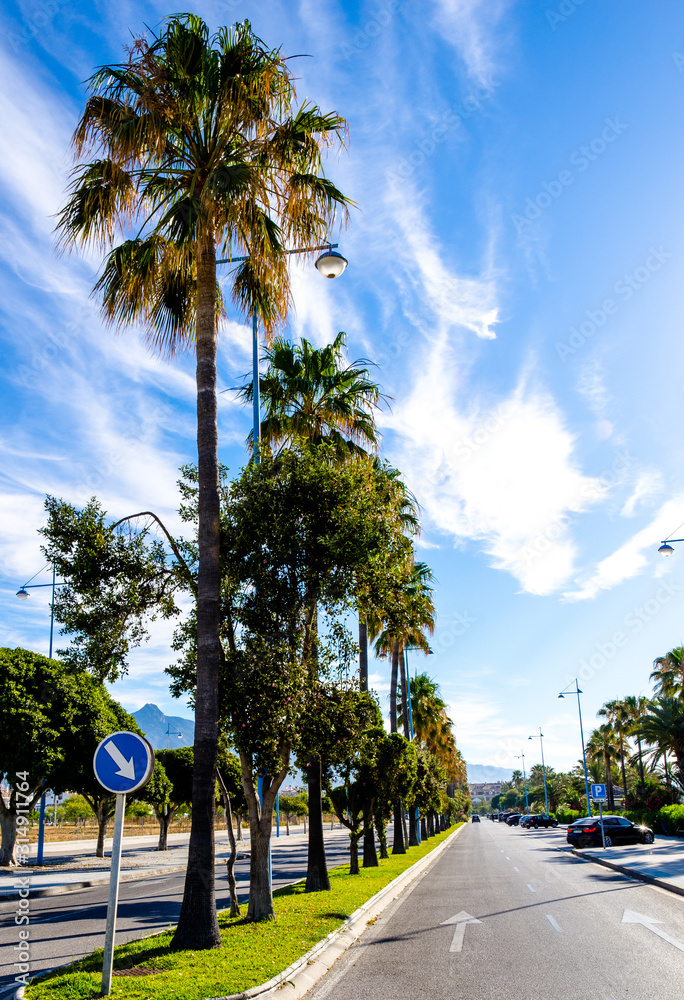 Spanish coast and promenade. Beautiful tall palm trees and wonderful warm weather with clear blue sky. Romantic vacation and travel. Sun in the background small clouds, no people. Amazing nature