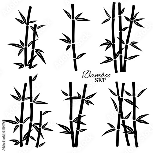 abstract  art  asia  asian  background  bamboo  black  branch  china  chinese  decoration  design  element  flat  floral  forest  garden  graphic  green  icon  illustration  isolated  japan  japanese 