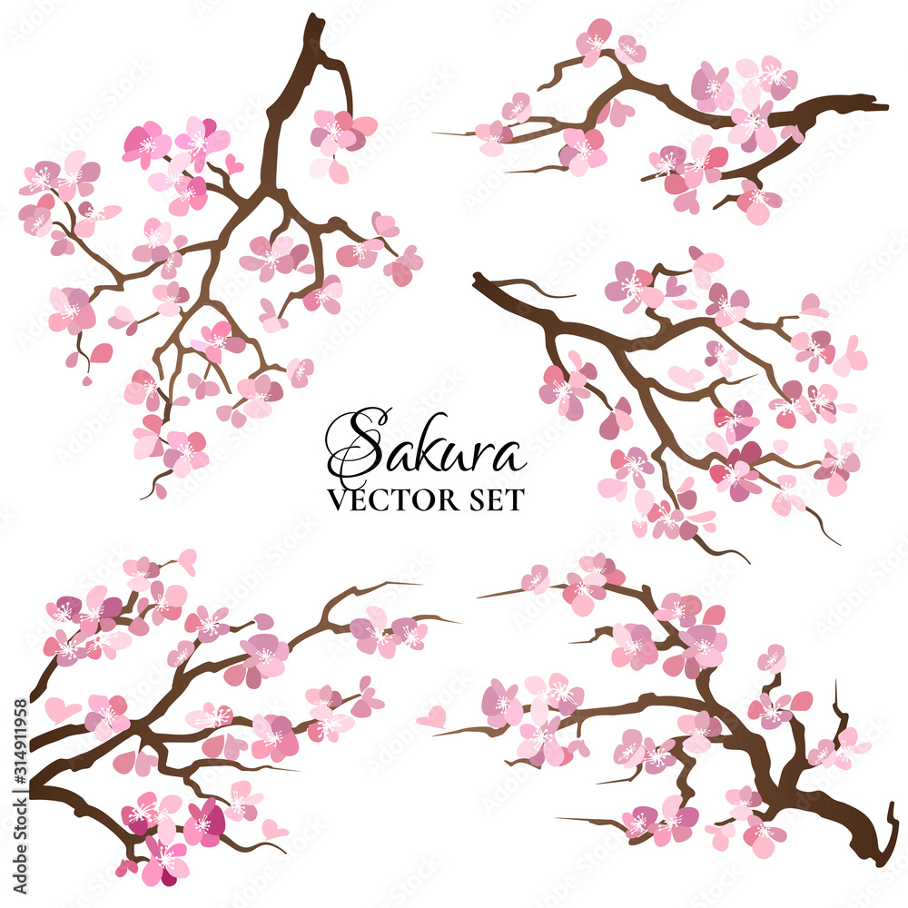 Obraz Set of blooming sakura branches. Vector illustration. fototapeta, plakat