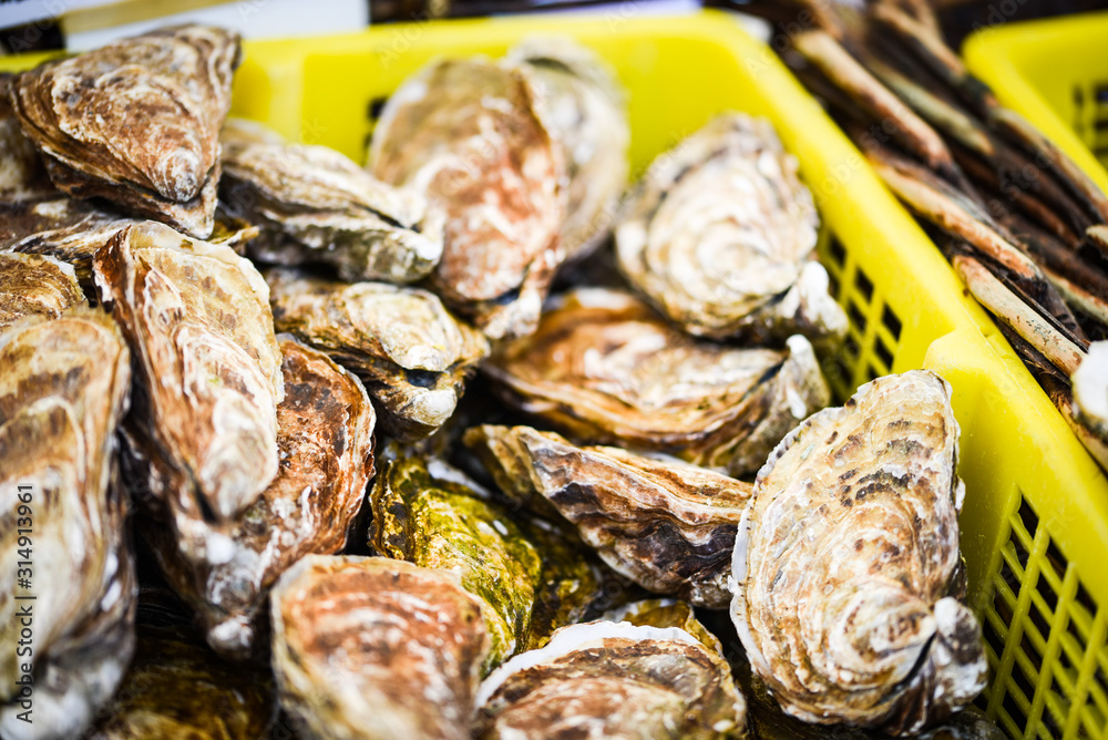 fresh oysters close up view fresh oysters close up view