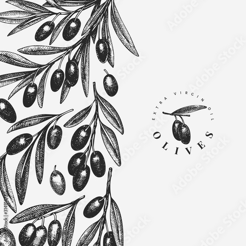 Olive branch design template. Hand drawn vector food illustration. Engraved style mediterranean plant. Retro botanical picture.