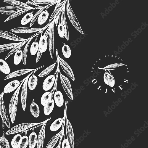 Olive branch design template. Hand drawn vector food illustration on chalk board. Engraved style mediterranean plant. Retro botanical picture.
