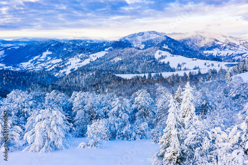 Heavy snow on tree branches on hills, winter landscape. Adventure in mountains © korsarid
