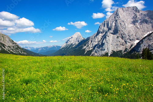 Meadow between mountains