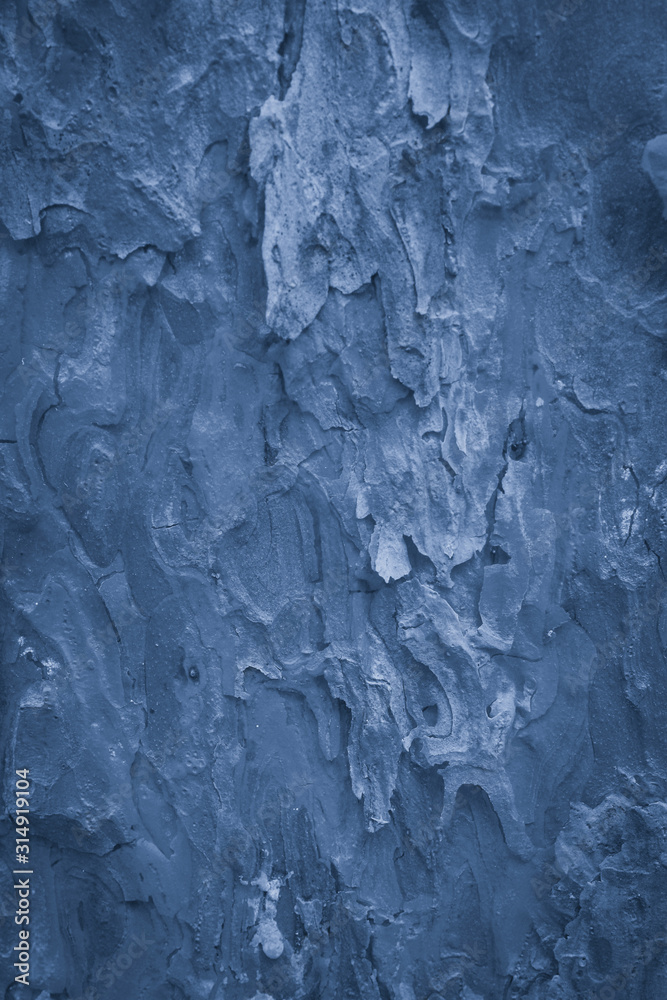 Original bark of a pine tree toned in color of the year 2020 classic blue Can be used for background or texture