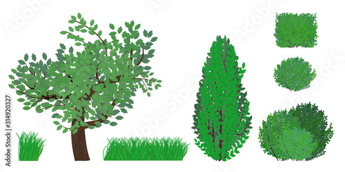 Set  Bush  tree and grass in various shapes. Decorative plant shrub for designing a Park  garden or green fence. Vector illustration isolated on white background.
