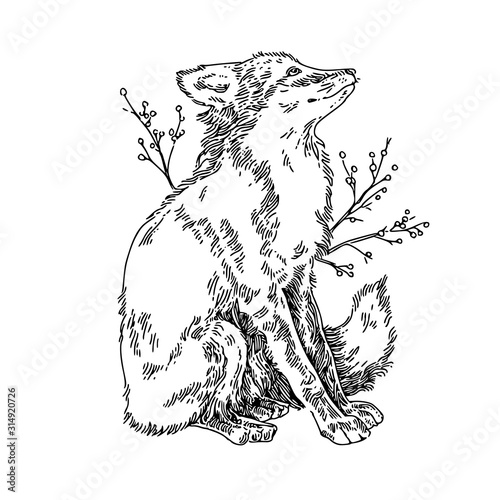 Sitting fox. Sketch. Engraving style. Vector illustration.