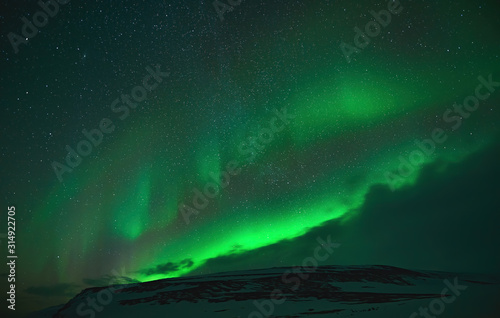 Wonderful northern lights in the Icelandic winter. © lucaar