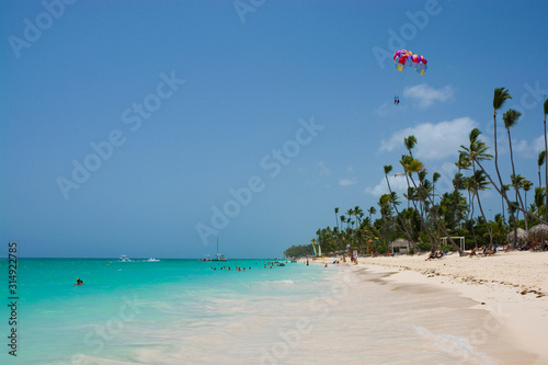 Tropical beach in Sargasso ...