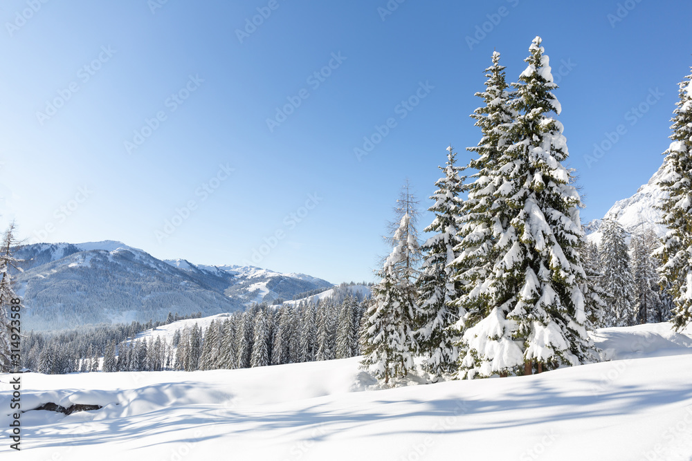 Winter nature. Austrian countryside with a lot of fresh snow. Sunny frosty weather with clear blue sky Winter nature. Austrian countryside with a lot of fresh snow. Sunny frosty weather with clear blue sky