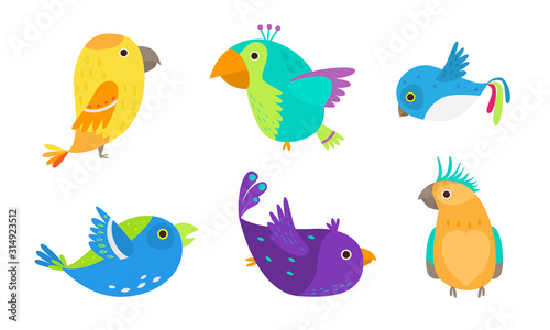 Set of small colorful tropical birds and parrots vector illustration