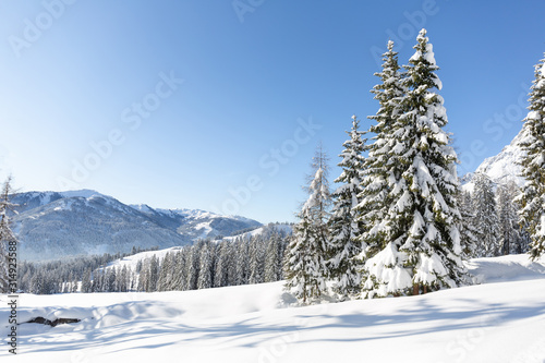 Winter nature. Austrian countryside with a lot of fresh snow. Sunny frosty weather with clear blue sky © Olha Sydorenko