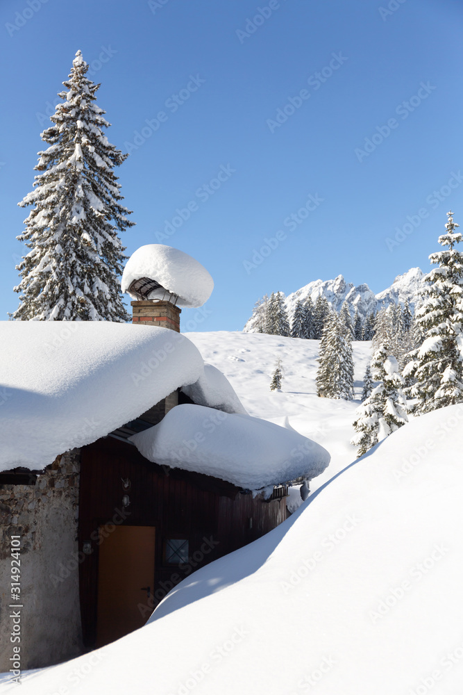 Fototapeta premium Picturesque winter scene with traditional alpine hut and snowy forest. Sunny frosty weather with clear blue sky. Vertical shot