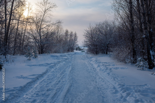 Winter in Siberia. Winter Scene
