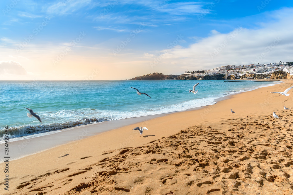 Seagulls flying over sandy beach in Albufeira resort village in Algarve, Portugal.
