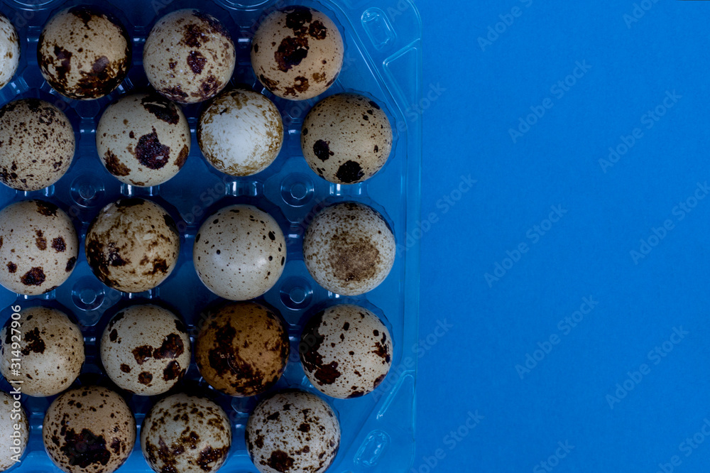Quail eggs in a transparent plastic container on a blue background. Top view, blue background. Eggs in speckled plastic container. Place for text, lettering, copy space. Quail eggs in a transparent plastic container on a blue background. Top view, blue background. Eggs in speckled plastic container. Place for text, lettering, copy space.