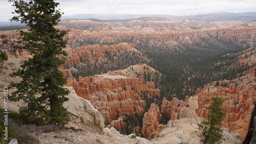 Red Canyon, needles in the deset