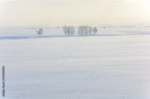 Beauty of nature in winter