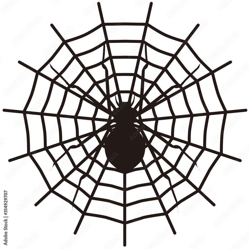 Obraz premium Spider
