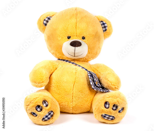soft toy white background isolated brown bear