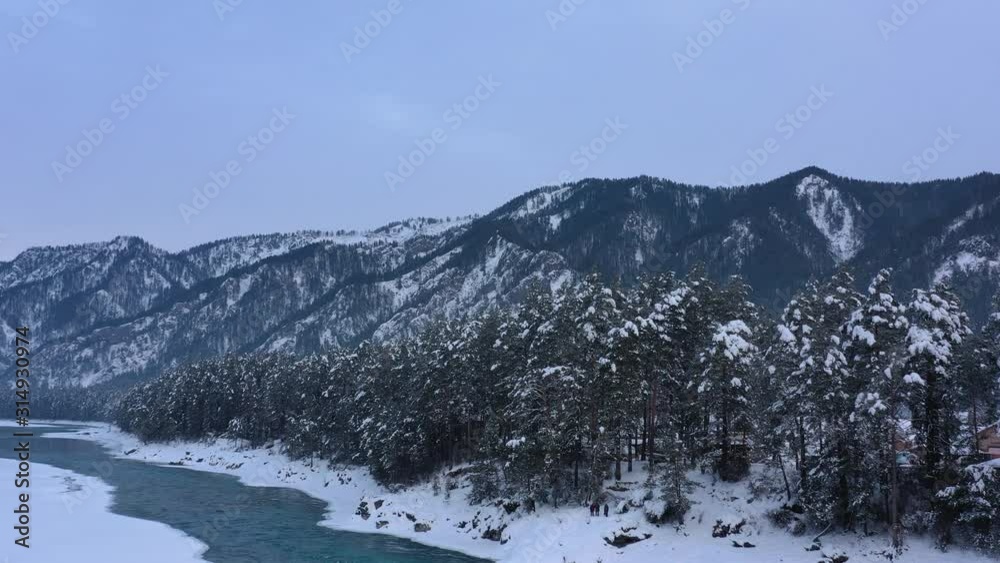 Aerial view trees in frost on the banks of the great Siberian river Katun Aerial view trees in frost on the banks of the great Siberian river Katun
