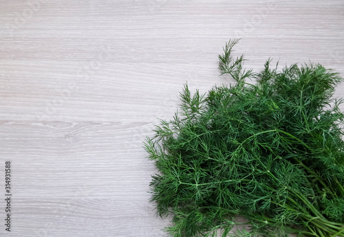Fresh dill bunch on the light grey wooden background, aromatic herbs healthy eating