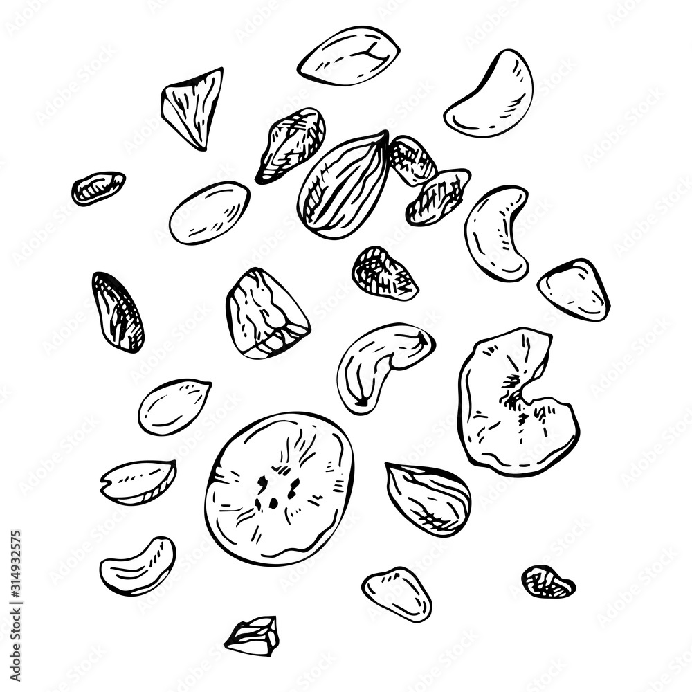  Sketch mix of different nuts and dried fruits. Hand drawn illustration of  nuts, cashews, peanuts, hazelnut, raisins, almond, banana isolated on white