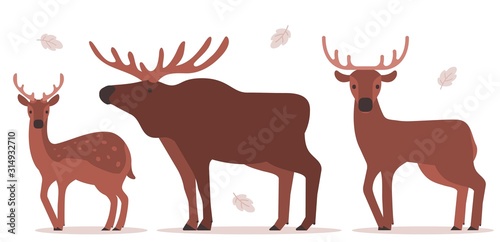 Vector illustration of set of beautiful forest wild animal with