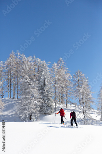 Ski mountaineers on touring skis among white trees. Winter sport concept