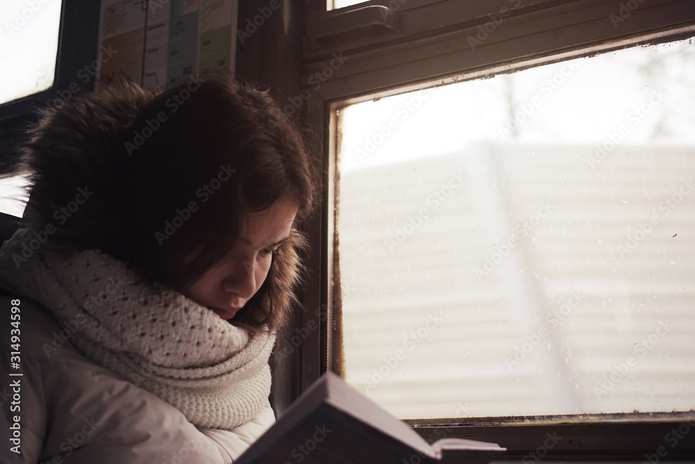Girl reads a book in the train carriage Girl reads a book in the train carriage