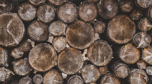 Background of logs close-up