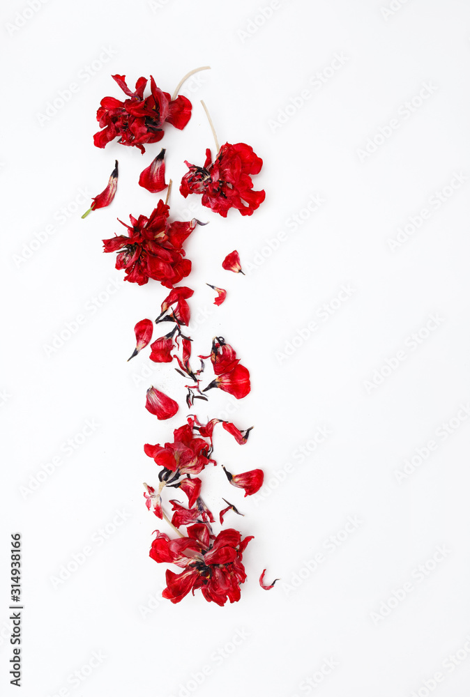 Fototapeta premium flowers on the white
