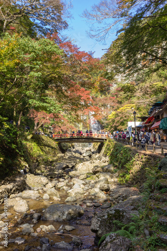 Fall colours in Minoo Forested Park and Waterfall, a spacious natural recreation area in suburban Osaka, Japan.