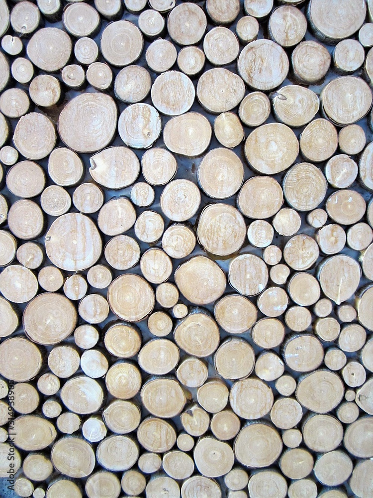 Log End Cuts