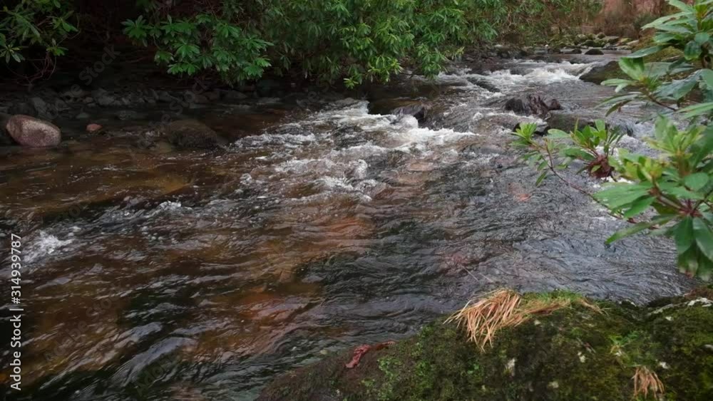 Scenic Slow motion HD video of Tollymore forest mountain stream and surroundings, Tollymore Forest park, Northern Ireland Scenic Slow motion HD video of Tollymore forest mountain stream and surroundings, Tollymore Forest park, Northern Ireland