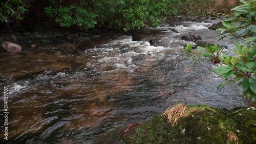 Scenic Slow motion HD video of Tollymore forest mountain stream and surroundings, Tollymore Forest park, Northern Ireland photo