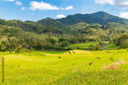 Beautiful landscape of Flores island with rice fields, forest and mountains. Indonesia.