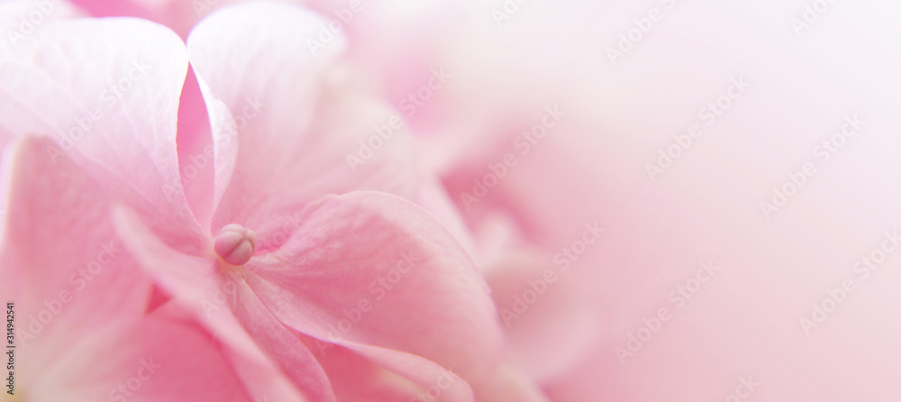 Mothers Day abstract floral background or banner with copy space