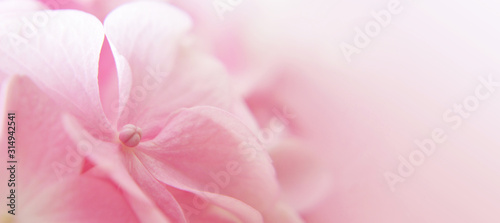Mothers Day abstract floral background or banner with copy space © izzzy71