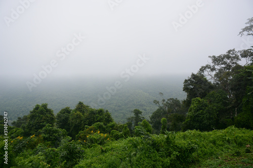 KHAO YAI NATIONAL PARK, THAILAND, OCTOBER 23, 2017: Beautiful view of the Khao Yai National Park