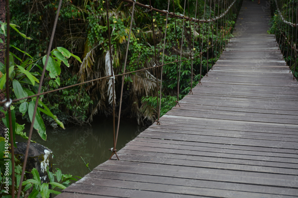 KHAO YAI NATIONAL PARK, THAILAND, OCTOBER 23, 2017: Beautiful view of the Khao Yai National Park KHAO YAI NATIONAL PARK, THAILAND, OCTOBER 23, 2017: Beautiful view of the Khao Yai National Park