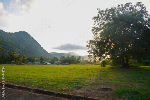 Wallpaper Mural KHAO YAI NATIONAL PARK, THAILAND, OCTOBER 23, 2017: Beautiful view of the Khao Yai National Park Torontodigital.ca