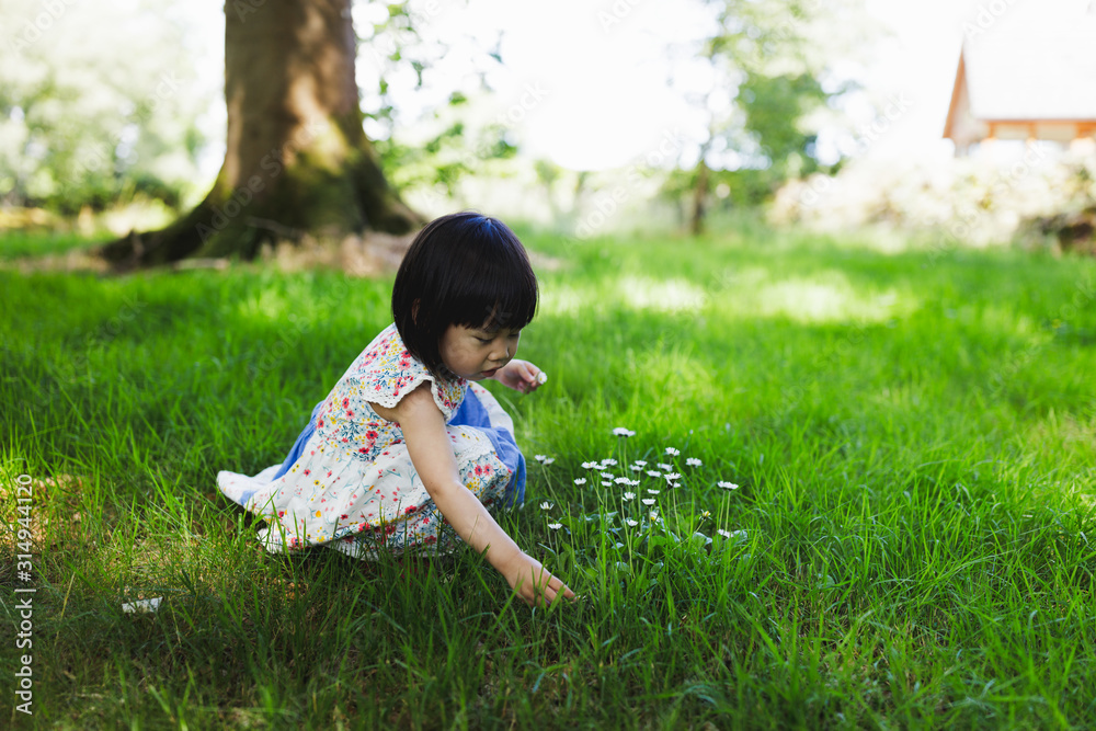 toddler girl playing in summer forest park,Northern Ireland toddler girl playing in summer forest park,Northern Ireland