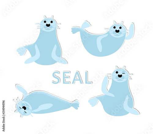 Set of isolated seal animal
